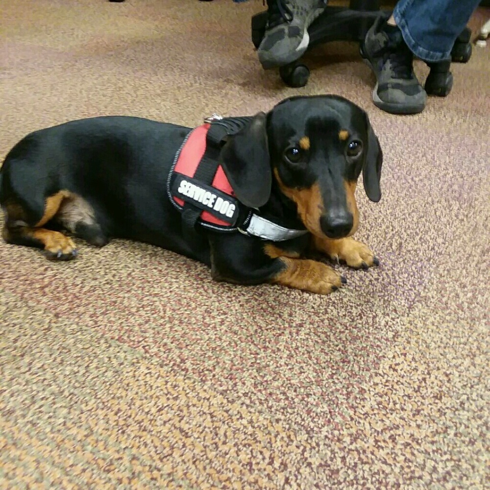 Meet your Posher, Jimena